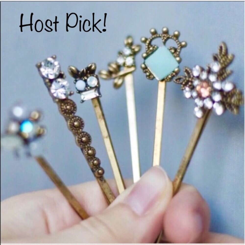 ⚡️One Left⚡️🎉HP🎉Set of 6 Hair Pins